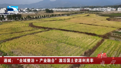 咸宁通城：“全域整治+产业融合”激活国土资源利用率