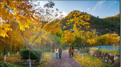 风揉秋韵入初冬！十堰郧西的每一寸土地，都写满温柔