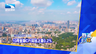 10月全国CPI同比上涨0.2%