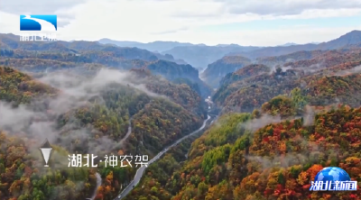 去山海找答案 | 在神农架 寻找跨越2700米的最美秋色