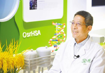 你吃的大米能救命！“稻米造血”更安全、还管够