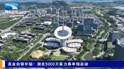 真金白银补贴！湖北5000万算力券申领启动