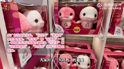 火爆了！十五运会吉祥物“大湾鸡”成新顶流