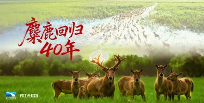 2025年11月16日支点周刊