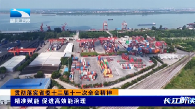 贯彻落实省委十二届十一次全会精神 | 精准赋能 促进高效能治理