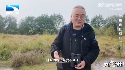 90后技术宅 从互联网大厂梦到湿地护鹿人