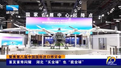 聚焦第八届中国国际进口博览会 | 首发首秀闪耀 湖北“买全球”也“卖全球”