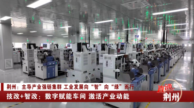 荆州：技改+智改 数字赋能车间 激活产业动能