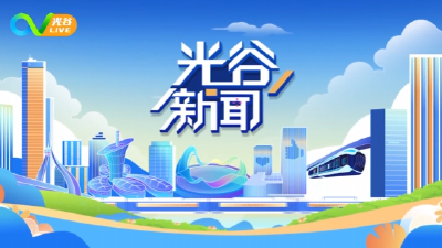 《光谷新闻》| 全国首例“医保价”脑机接口手术完成，采用“光谷造”芯片