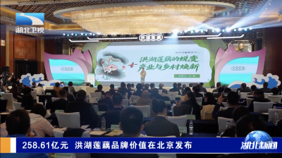 258.61亿元 洪湖莲藕品牌价值在北京发布