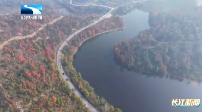 孝感大悟：红叶映山秋意浓 层林尽染引客来