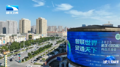 聚焦2025汉交会丨万商云集 打造全球经贸对接新枢纽