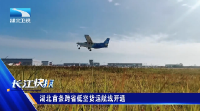 湖北首条跨省低空货运航线开通