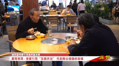 高质量党建通联高质量发展∣襄阳枣阳：党建引领“五微共治”  托起群众稳稳的幸福