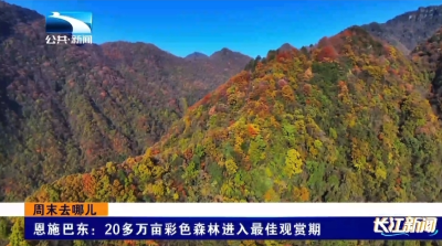 恩施巴东：20多万亩彩色森林进入最佳观赏期