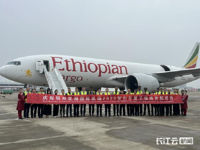 花湖机场本季首条智利车厘子快线今日首航成功 预计超1亿箱车厘子销往中国