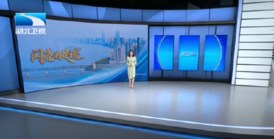 闪亮的足迹 | 支点观察 ：甘蓝地里有新事