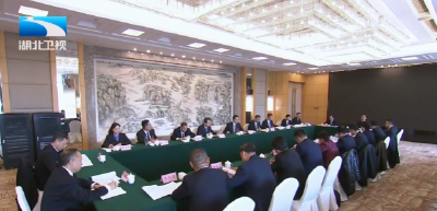 诸葛宇杰参加省委十二届十一次全会分组讨论