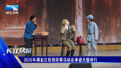 2025年湖北红色旅游季活动在孝感大悟举行