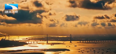 权威发布 | 长江流域司法机关“绿色守护”有实招