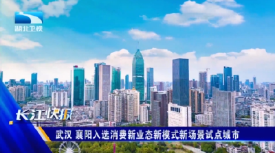 武汉、襄阳入选消费新业态新模式新场景试点城市