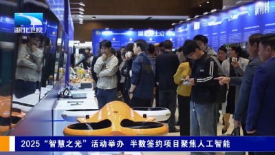 2025“智慧之光”活动举办 半数签约项目聚焦人工智能
