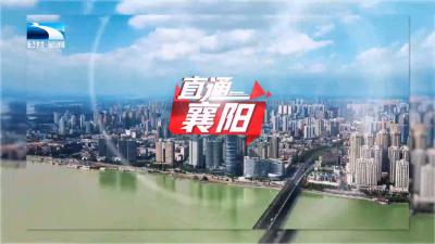 直通襄阳 | 橘香漫山 双线赋能！南漳地理标志柑橘激活乡村振兴新动能