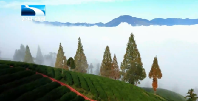 2025年11月1日长江新闻