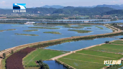 2025年11月9日长江新闻