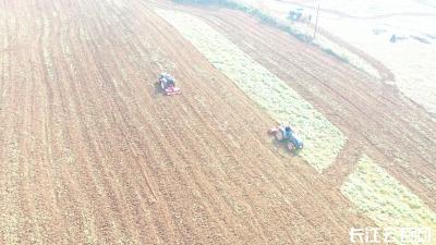 襄阳宜城：102万亩秋播计划有序推进 秋播完成超九成