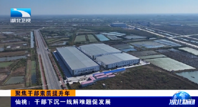 聚焦干部素质提升年 | 仙桃：干部下沉一线解难题促发展