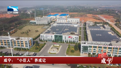 咸宁：“小巨人”养成记