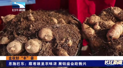 恩施巴东：廪君故里农味浓 展销盛会助振兴