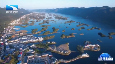 2025年11月29日湖北新闻