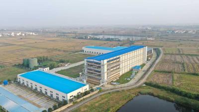 襄阳宜城：智慧养鸭富乡邻 一只鸭孵出28亿元大产业