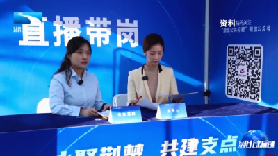 权威发布丨第三届全国人力资源服务业发展大会11月28日在汉举行