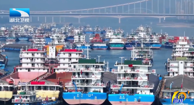 2025年11月15日湖北十分