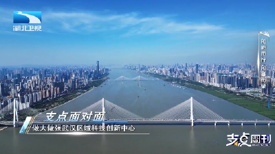 向新而行 向高而攀丨支点面对面：做大做强武汉区域科技创新中心