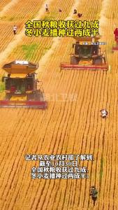 全国秋粮收获过九成 冬小麦播种过两成半