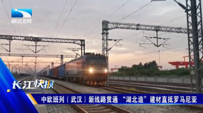 中欧班列（武汉）新线路贯通 “湖北造”建材直抵罗马尼亚