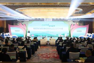 258.61 亿元！洪湖莲藕品牌价值在北京发布