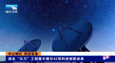 牢记嘱托 荆楚答卷 | 湖北“尖刀”工程集中展示42项科技创新成果