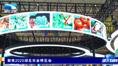聚焦2025湖北农业博览会 | 好吃 好逛 好玩 农博会上消费热
