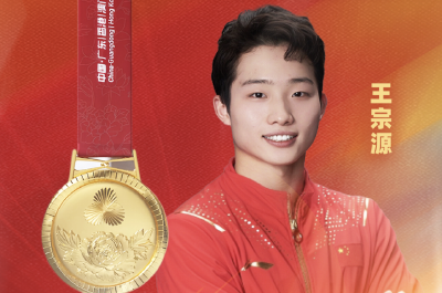 湖北再添一金！王宗源勇夺全运会男子1米板冠军