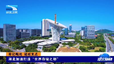 牢记嘱托 建成支点丨湖北加速打造“世界存储之都”