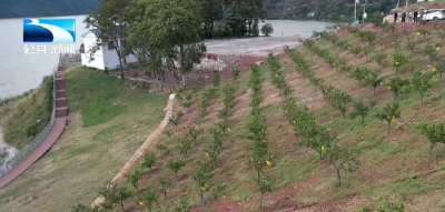 贯彻落实全会精神 | 恩施巴东：监督护航民生实事 擦亮群众幸福底色