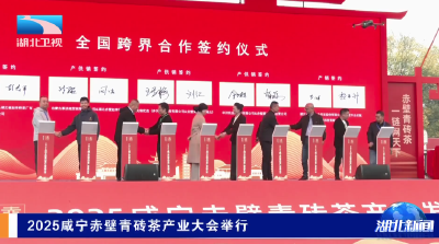 2025咸宁赤壁青砖茶产业大会举行