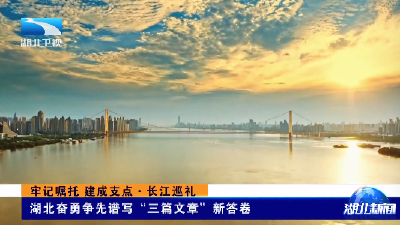 牢记嘱托 建成支点·长江巡礼丨湖北奋勇争先谱写“三篇文章”新答卷