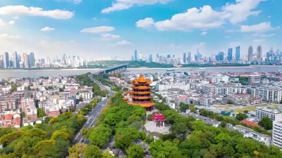 湖北17市州书记这样说