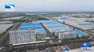 一线调研·看产业倍增丨向“新”向“智” 湖北纺织产业抢占发展新赛道